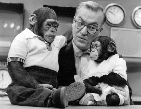 Dave_Garroway_J_Fred_Muggs_Today_show_1954
