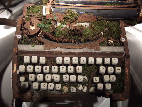 I may have to find a new spot for the terrarium.