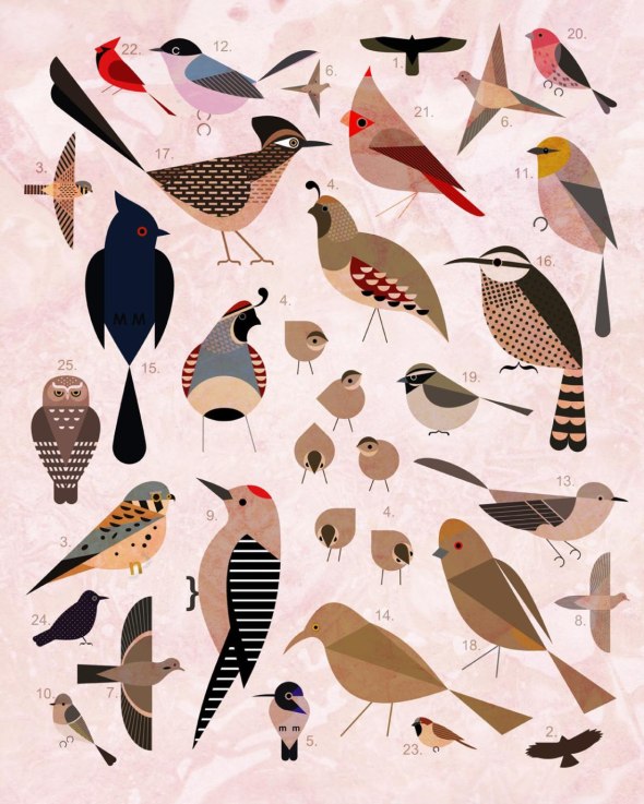 bird-by-bird-collage